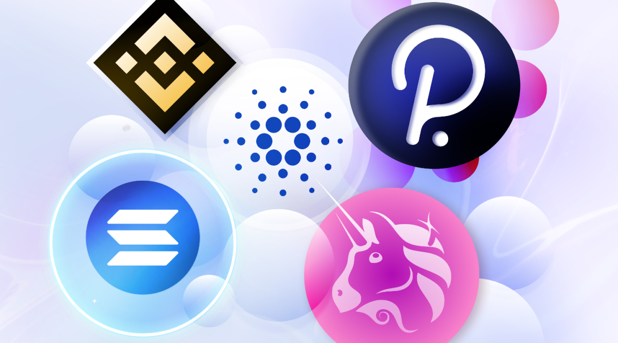 Altcoins - BNB - Polkadot - Solana - Uniswap